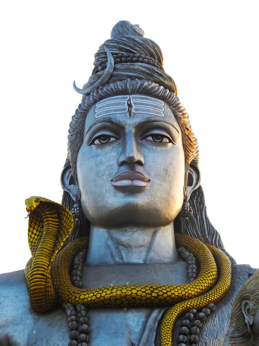 Kaal Sarp Dosh Puja